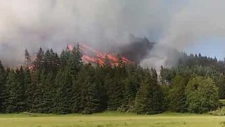Incêndio no Oregon (EUA) surpreende população