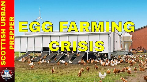 Prepping Egg Farm Crisis