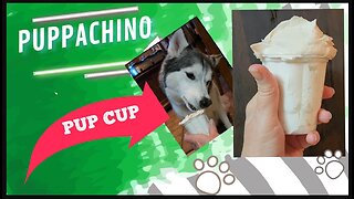 Homemade Starbuck's Pupachino Dog Treat - Two Flavors!