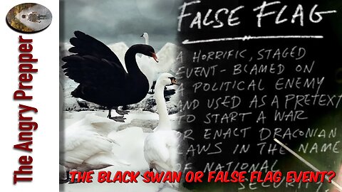 The Black Swan or False Flag Event?