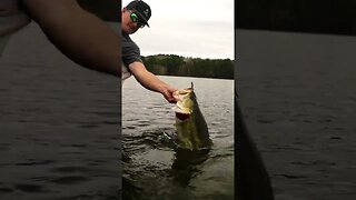 This Technique CONSISTENTLY Catches GIANT BASS