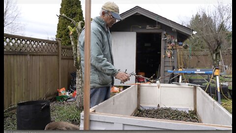 Preparign a raised. vegetable bed for my organic backyard food forest