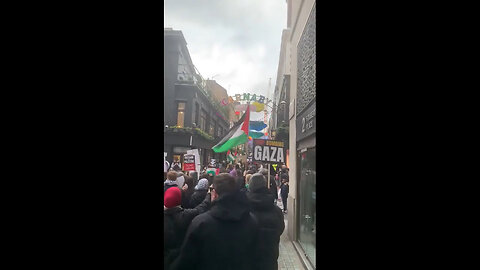 Hundreds Of Pro-Palestine Protesters Disrupt Christmas Shoppers In Central London