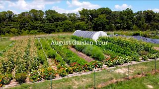 Garden Tour | August 2022