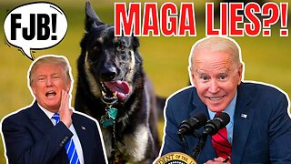 Secret Service Accused Of LYING About Biden's Dog Bites Because They Are White & Conservative!