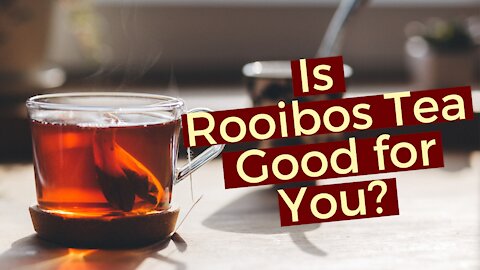 Pure Rooibos Red Tea Benefits | Is Rooibos Tea Good for You?