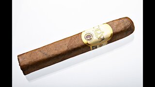 Oliva Serie G Robusto Cigar Review
