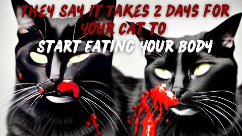 "They Say It Takes 2 Days for Your Cat to Start Eating Your Body" Creepypasta (The Midnight Station)