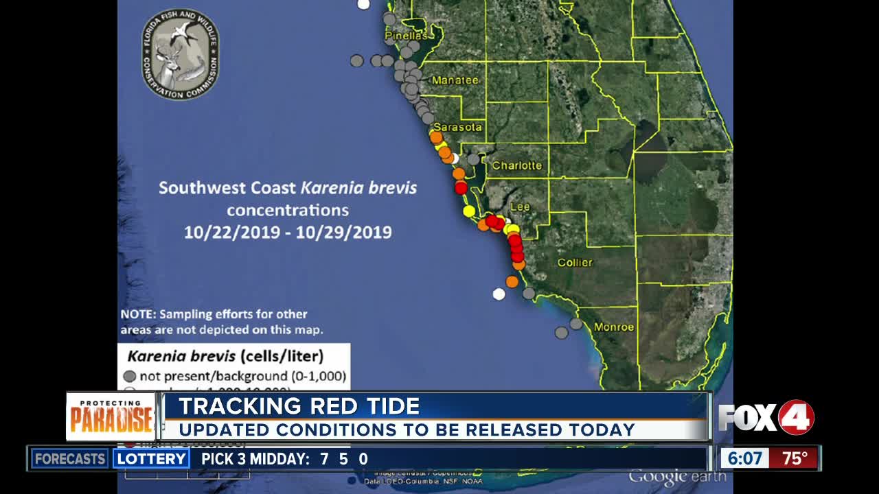 Expecting new red tide maps on Friday