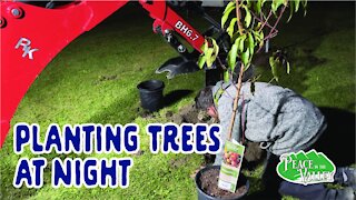 EPISODE 57: Planting Trees at Night with RK25