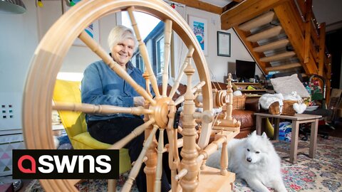 UK woman knits garments out of undercoat from Samoyed dogs
