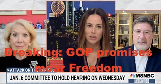 MSNBC warns a GOP win in November will lead to MOAR Freedom! Constrain big government oh no!