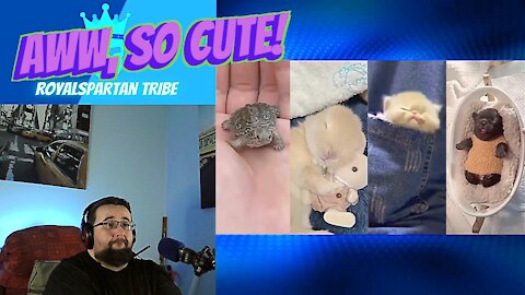 AWW SO CUTE! Cutest baby animals Videos Compilation Cute moment of the Animals #10 - Reaction