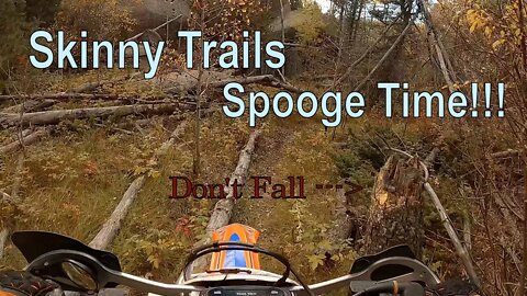 Singletrack - Enjoying the Fall Colors on some skinny lines!