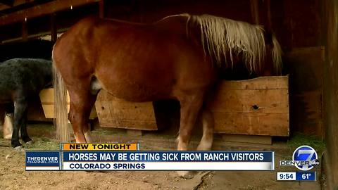 Rock Ledge Historic Ranch: ‘Stop feeding our horses, you’re killing them'