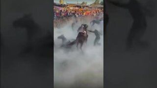 "Carambola" of horses, pile up when their riders tried to enter the ring at the same time