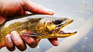 Epic Trout at Lost Lake