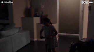 Papà ricrea Jurassic Park in casa per la figlia!