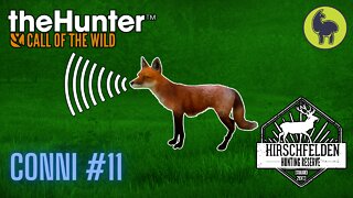 Conni #11 Hirschfelden | theHunter: Call of the Wild (PS5 4K)