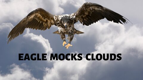 Eagle Uses a Unique Method To Avoid Rain by Flying Above the Clouds