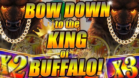 The One, The Only, Raja The Buffalo KING Returns With The LARGEST Bets on YouTube For BUFFALO GOLD!