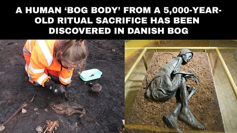 A Human ‘Bog Body’ from a 5,000-Year-Old Ritual Sacrifice Has Been Discovered in Danish Bog
