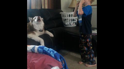 Chubby Husky Sings With Harmonica