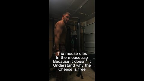 The mouse dies in the mousetrap because it doesn’t understand why the cheese is free