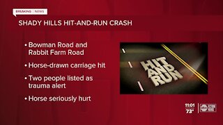 Shady Hills hit-and-run crash