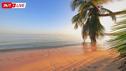 🔴Tropical Island with Calm Sea Sounds - Ocean Sounds to Sleep, Study & Chill