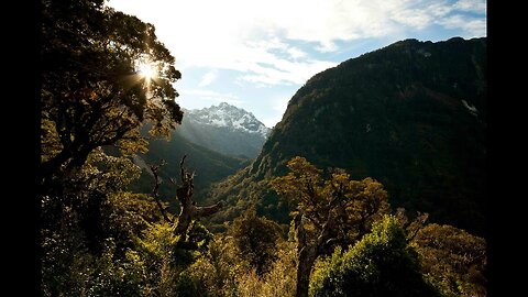 Poisoning Paradise - Ecocide New Zealand - Festival Version