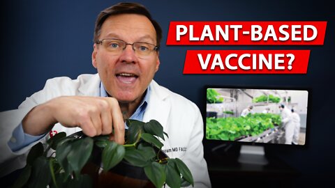 Can plant based vaccines compete? Let's learn about Covifenz