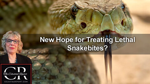 New Hope for Treating Lethal Snakebites?
