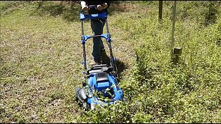 Kobalt 40 Volt Mower: Day One Torture Test, 2 Foot Grass and Brush Hogging