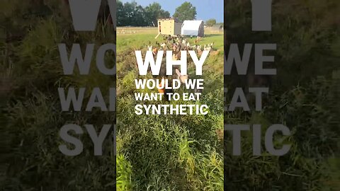Why Eat Synthetic Meat?