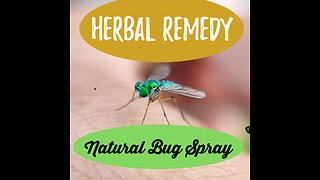 Homemade All Natural Bug Spray