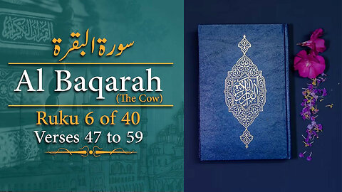 Quran with Urdu Translation | Surah Al Baqarah With Urdu Translation | Ruku 6 Of 40 | Verse 4 to 47