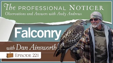 Falconry with Dan Ainsworth