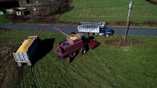 Corn Harvesting - Barnesville, PA