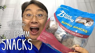 Blue Bunny Chocolate Chip Cookie Bunny Snacks Ice Cream Cookies Review