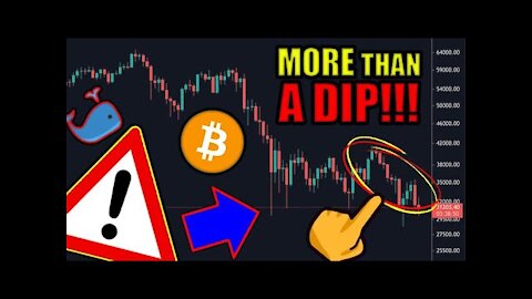 Prepare For The Worst (PRICE CRASH)!? Bitcoin & Cryptocurrency Investor WARNING! 2021 Market Outlook