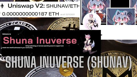 Uniswap V2: Shuna Inuverse SHUNAV/ETH SHUNAV new token, current value 0.0000000000187 #CryptoNews