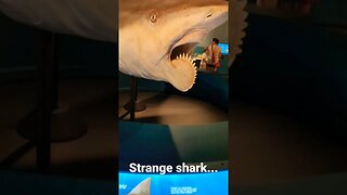 weirdest shark!! #shark #strange #shorts #short #shortsvideo #australia #omg #wtf #epic #odd