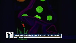 Let it Glow exhibit at the Paper Discovery Center