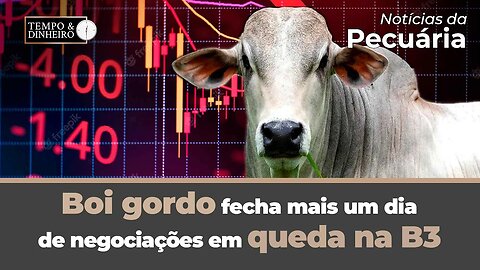 Boi gordo fecha mais um dia de negociações em queda na B3 e com desânimo no mercado fisico