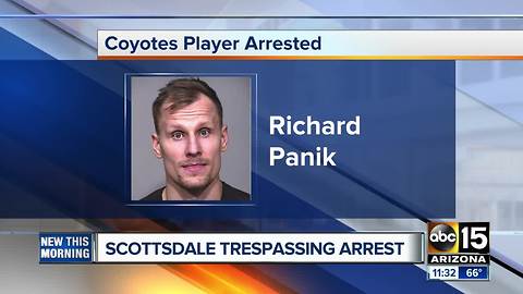 Arizona Coyotes player arrested in Scottsdale