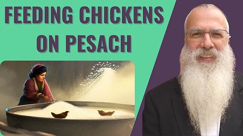 Mishna Pesachim Chapter 2 Mishnah 7. Feeding chickens on Pesach