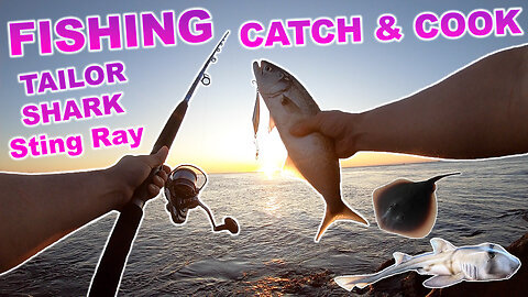 Fishing Catch & Cook! Shark, Sting Ray, Tailor