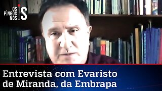 Amazônia destruída ou preservada? A verdade sobre a Floresta