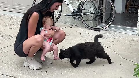Baby Meets a Cat For The First Time / Her Reaction Is Priceless